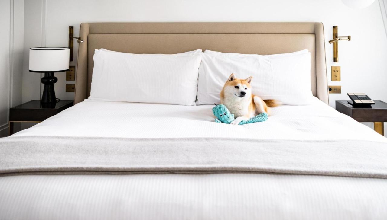 Kimpton - St Honore Paris By Ihg Kültér fotó